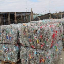 Segundo llamado del año para participar en proceso de compra de material reciclado por la Dirección de Medio Ambiente de la I.M. de El Tab